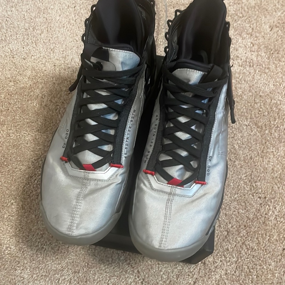 Air Jordan size 10 Proto Max’s